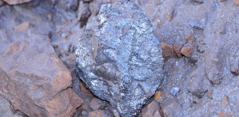 Raw Materials from Taged Trading